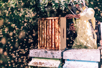 beekeeper using the blower to free the hive box from bees