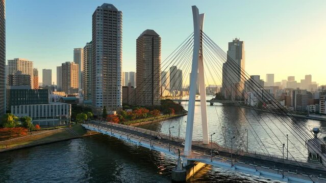 Tokyo downtown, aerial view of Tokyo, capital of Japan, at sunset, suspension bridge over Sumida River and modern urban skyscrapers at sunset