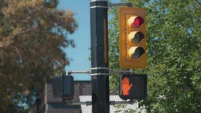 Traffic light turns from red to green, pedestrian light countdown for crosswalk. 