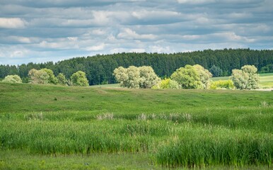 Obraz premium beautiful summer sunset landscape in the village