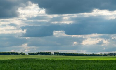 beautiful summer sunset landscape in the village