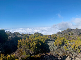 Sentier de randonnée sur le piton des neiges, ile de la Réunion