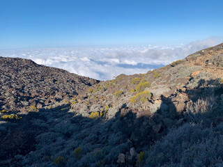 Sentier de randonnée sur le piton des neiges, ile de la Réunion