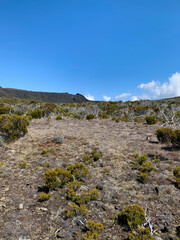 Fototapeta na wymiar Paysage montagneux sur l'île de la Réunion, sentier du GRR2