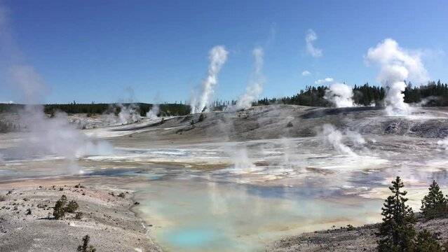 Norris Geyser Basin , Yellowstone National park.Wyoming, USA