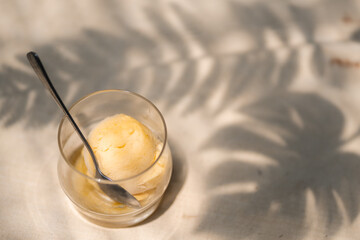 Closeup of yummy and delicious mango ice cream and sorbet in a glass with steel spoon with nobody around