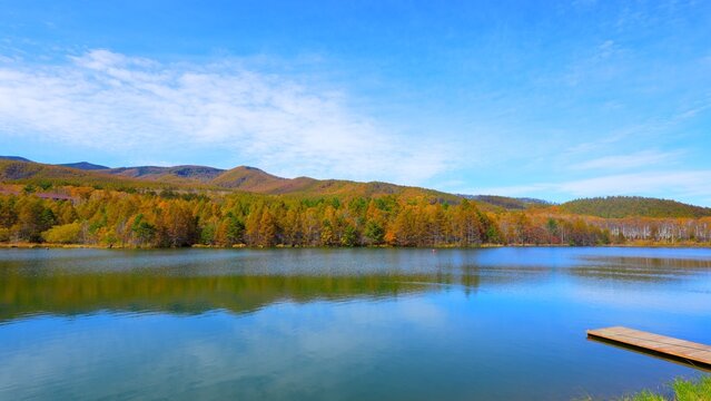 「八千穂高原」の写真素材 1,000件の無料イラスト画像 Adobe Stock
