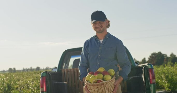 Portrait of happy Caucasian mature man farmer standing in plantation near pickup truck full of boxes with vegetables and fruits and smiling. Male agronomist showing box with organic eco apples