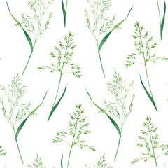 Seamlesss pattern with bluegrass. Hand drawn watercolor illustration isolated on white