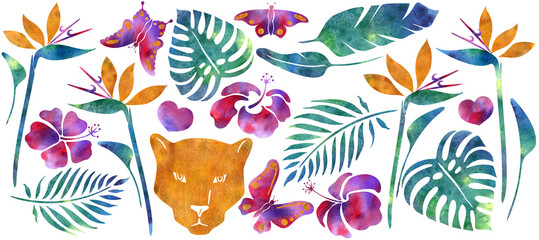Set of watercolor illustrations, tropical leaves, flowers and butterflies. © Галина Смирнова