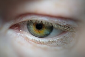 auge pupille green 