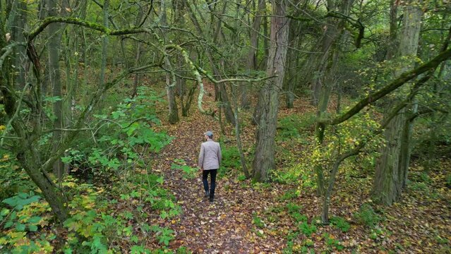 Third Person View Hiker in woods crash. Beautiful aerial view flight tracking shot from above drone
Morning walk sunrise at forest berlin autumn October 2022. 4k marnitz cinematic
