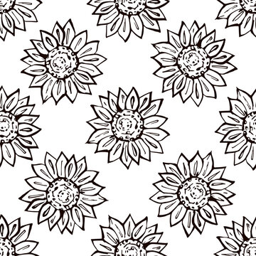Thanksgiving seamless pattern with hand drawn sunflower. Suitable for packaging, wrappers, fabric design. PNG illustration