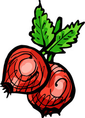 Hand drawn isolated ink rose hip. PNG colorful illustration