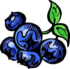 Hand drawn ink isolated blueberry. PNG colorful illustration