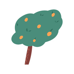 Orange or tangerine tree, cartoon flat vector illustration isolated on white background. Symbol of South Korea Jeju island. Delicious mandarins growing on tree, citrus fruit in naive art style.
