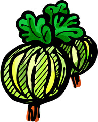 Hand drawn isolated ink gooseberry. PNG colorful illustration