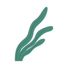 Hand drawn seaweed or plant, cartoon flat vector illustration isolated on white background. Underwater plant, algae or laminaria. Botanical greenery design element.