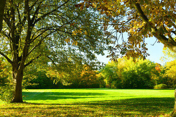 Fototapeta premium Autumn landscape background. Multicolor trees and blue sky with bright sun.