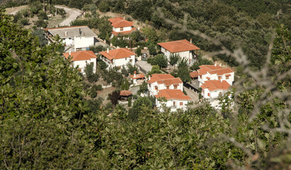 Fototapeta na wymiar beautiful houses in meadow. Greece