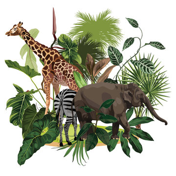 Season Abstract Nature Banner Background. Jungle plants, cartoon animals elephants, zebra, giraffe; Exotic card element with tropical leaves.	