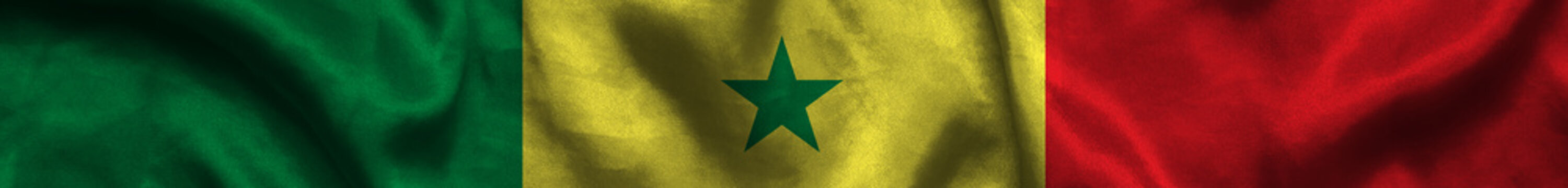 Elongated national flag of Senegal, with a fabric texture fluttering in the wind. Republic of Senegal flag for website design. 3d illustration