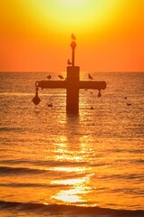 Beautiful morning seaside landscape. Birds on the background of the rising sun.