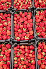Many fresh strawberries for sale at a market.