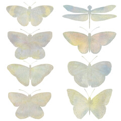 Collection of watercolor butterflies. set of insects with wings