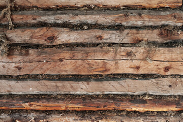 Old rough wooden wall with moss sealing, photo texture