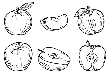 Set of apples, hand drawn vector illustration