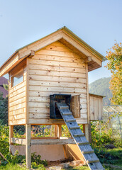 Hen coop in the garden.Sunny autumn day. © Munka