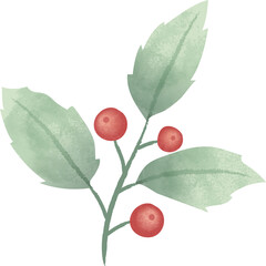 Christmas holly berries, red berries with leaves clipart. Isolated element graphic. Watercolor style illustration.