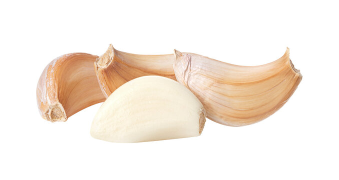 Garlic isolated on transparent png