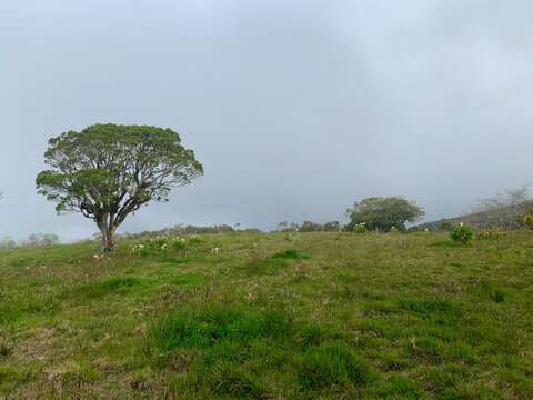 Plaine des cafres sur l'&icirc;le de la R&eacute;union