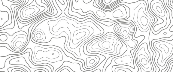 White wave paper curved reliefs abstract background, Abstract topographic contours map background. Geographic mountain relief. Abstract lines background. Contour maps. Business concept.