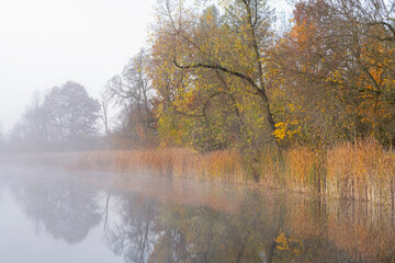 Foggy, autumn landscape of the shoreline of Whitford Lake at dawn with reflections in calm water, Fort Custer State Park, Michigan, USA