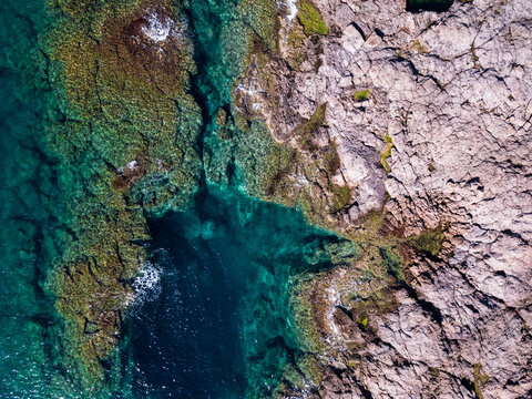 Into the blue sea
