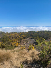 Sentier entre le col du Maïdo et le Grand Bénare sur l'île de la Réunion