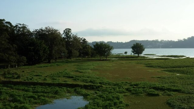 Beautiful aerial drone dolly-in and rising shot from natural marshes revealing the man-made Guarapiranga Reservoir in the south of S&atilde;o Paulo, Brazil with beaches, marinas, and wildlife fall evening.