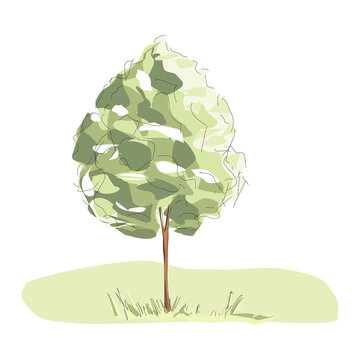 Green tree png illustration