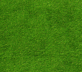 Obraz na płótnie Canvas Top view fresh green grass