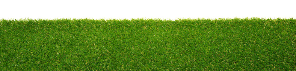 Green grass isolated on white background