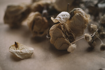 Soft fabric and dried flowers, Flowers on a bed, Rustic ribbon, Photo of dried flowers, Flower tied with vintage rope