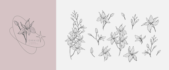 Set of luxury flowers and logo. Trendy botanical elements. Hand drawn line leaves branches and blooming. Wedding elegant wildflowers for invitation save the date card. Vector