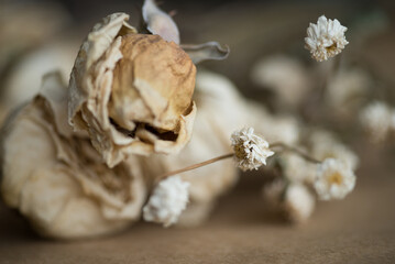 Soft fabric and dried flowers, Flowers on a bed, Rustic ribbon, Photo of dried flowers, Flower tied with vintage rope