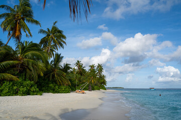 Ein Strand mit Sonnenliege auf den Malediven mit vielen Palmen und dem Meer bei strahlend blauem...