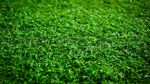 green grass background with blur overlay