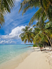Palmen ragen über den feinen Sandstrand und das kristallklare und türkis blaue Meer auf einer exklusiven Insel der Malediven im indischen Ozean