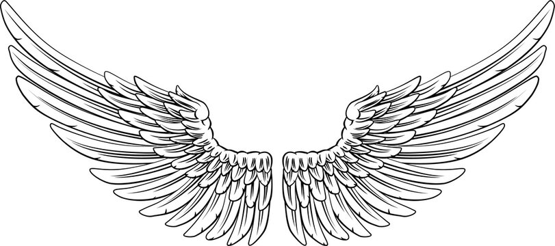 Spread Pair Of Angel Or Eagle Feather Wings